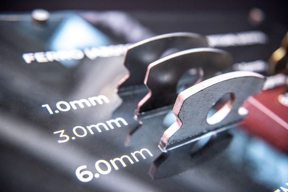 Macchina di taglio laser a alta precisione a velocità rapida per Raylaser 3015 4020